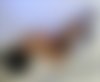 Conoce a la increíble Anna Nur Mit Termin: la mejor escort - hidden photo 4