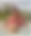 Meet Amazing Sexi Lady Xenia Echte Squirting Bis: Top Escort Girl - hidden photo 4