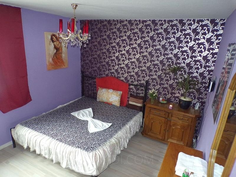 Best Zimmer zu vermieten in neu renovierter Wohnung in Mühlhausen - place photo 2
