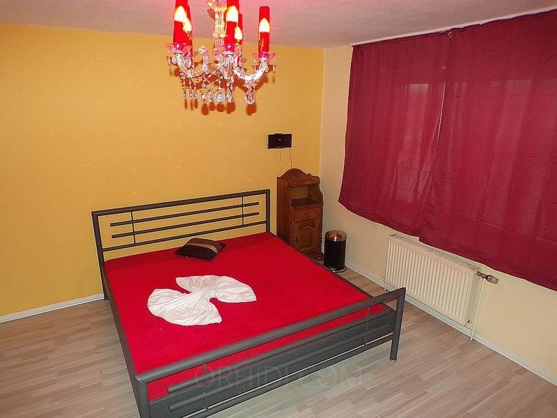 Best Zimmer zu vermieten in neu renovierter Wohnung in Mühlhausen - place photo 7