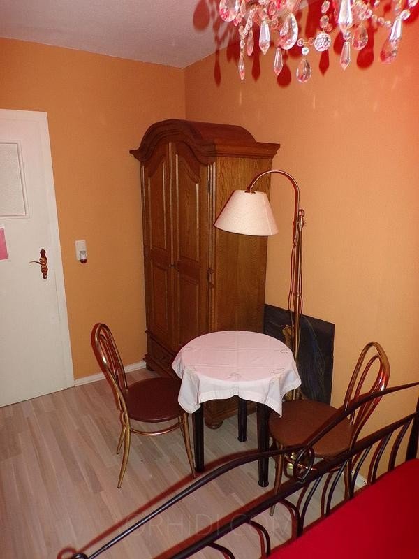 Best Zimmer zu vermieten in neu renovierter Wohnung in Mühlhausen - place photo 8