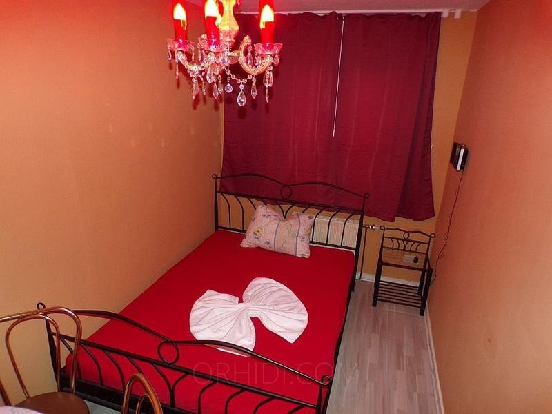 Best Zimmer zu vermieten in neu renovierter Wohnung in Mühlhausen - place photo 1