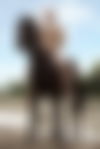 Luca Borromeo Pornstar ? - hidden photo 6