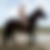 Luca Borromeo Pornstar ? - hidden photo 12