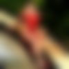 Diskretes Wohlfuhl Paradies ???? - hidden photo 9