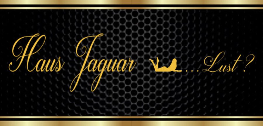 Лучшие Секс вечеринки модели ждут вас - place Haus Jaguar