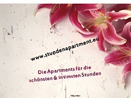 Establecimientos en Stadtallendorf - place Die Stundenapartments