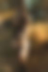 Bianca Pelly Brasile?a ?? - hidden photo 18