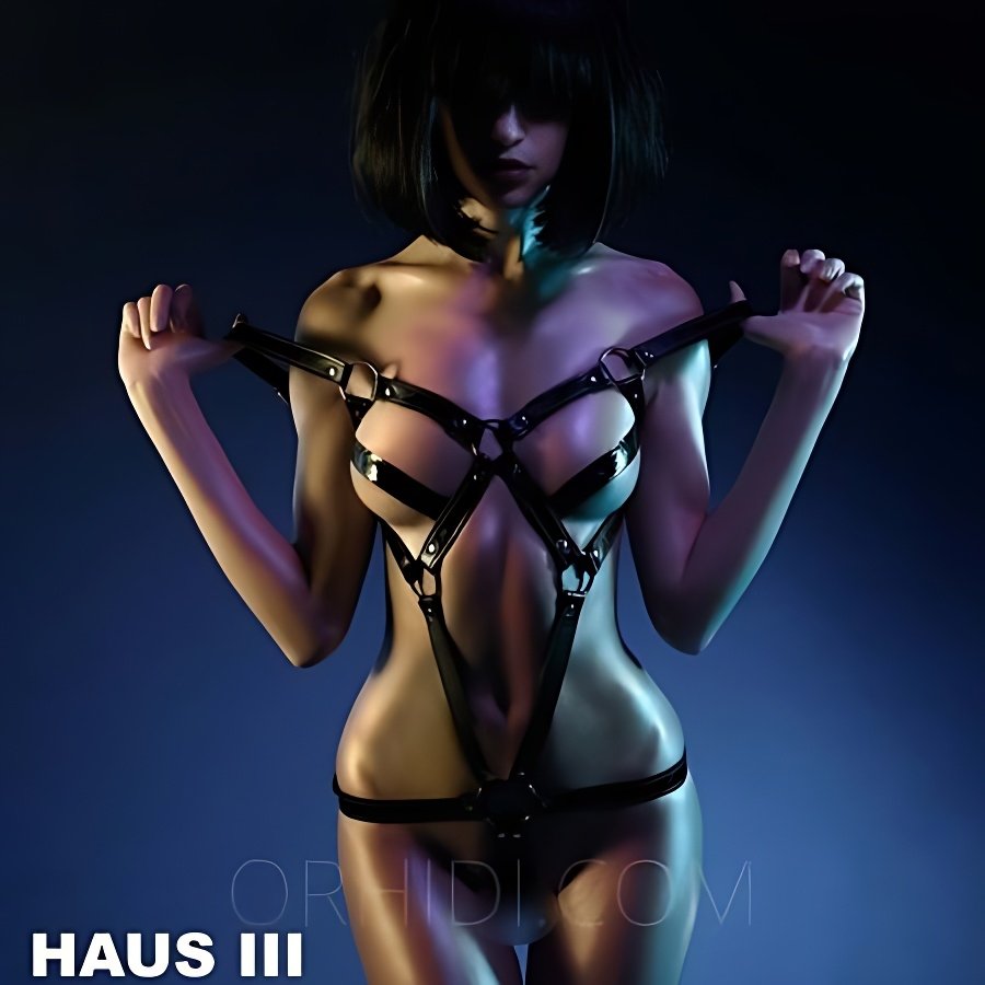 Meet Amazing Haus 3: Top Escort Girl - model preview photo 2 