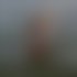 Meet Amazing SOPHIE HAUSFRAU MIT SEXY RAUER STIMME: Top Escort Girl - hidden photo 3
