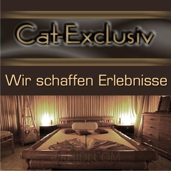 Best CAT EXCLUSIV in Cologne - place photo 2