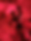 Melody Bizarr - Ihr Exklusives Escort-Erlebnis - hidden photo 23