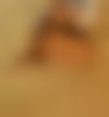 Jessica - Ihr exklusives Eskort Model - hidden photo 9