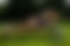 Jessica - Ihr exklusives Eskort Model - hidden photo 7