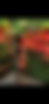 Mirella Dotada ? - hidden photo 4