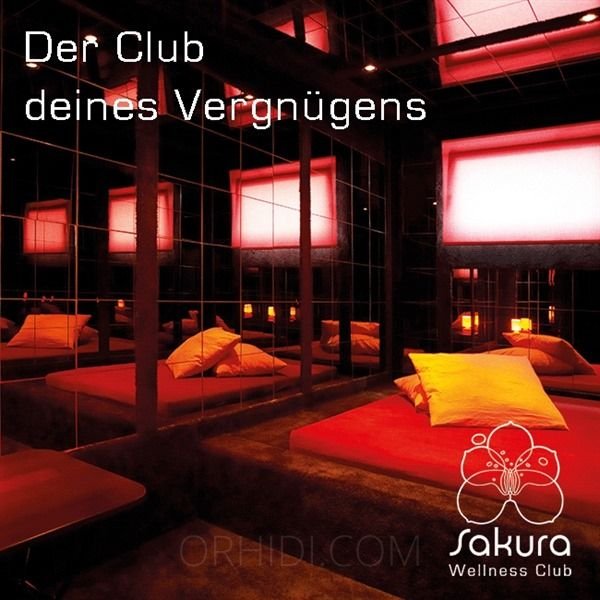 Beste Swingerclubs in Bonn - place SAKURA - PREMIUM FKK CLUB