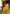 Meet Amazing CELINA AUS DEUTSCHLAND: Top Escort Girl - hidden photo 0