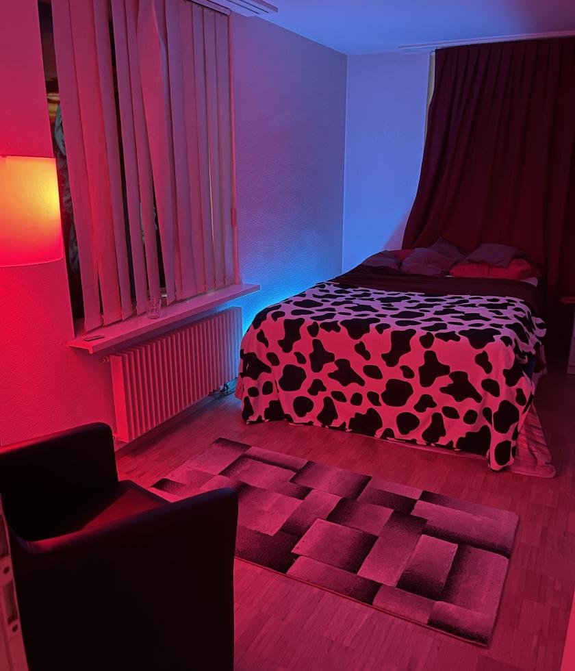 Treffen Sie Amazing Private Diskrete Zimmer In Basel Alquilamos Habitaciones Privadas Y Discretas: Top Eskorte Frau - model preview photo 1 