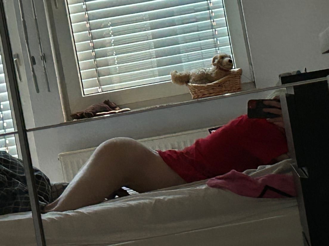Privat Escort  (Huren, Nutten) in Salzgitter, Niedersachsen. - model photo Incubusnex
