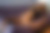 Daniel Gay ? - hidden photo 4