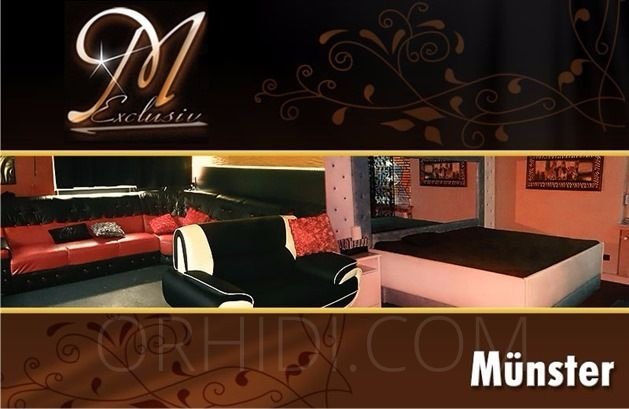 Best Sex parties Models Are Waiting for You - place M-Exclusiv Münster