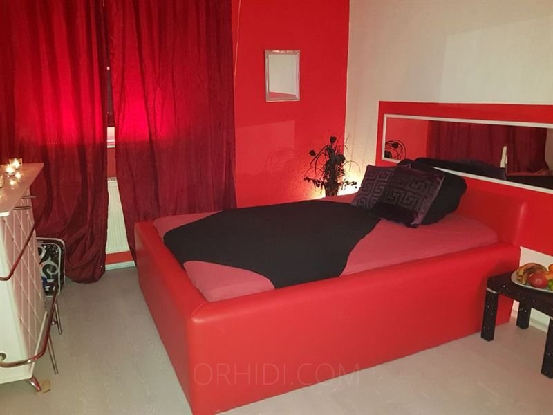 Best Flat for rent Models Are Waiting for You - place LUSTHAUS GIRLS