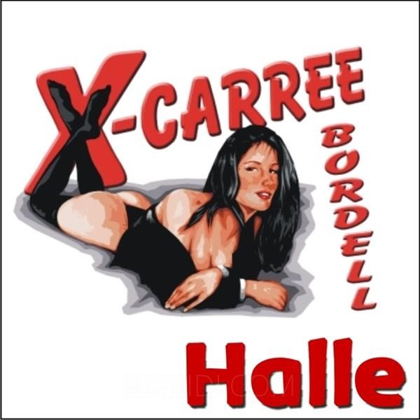Bester X-CARREE in Halle (Saale) - place photo 2