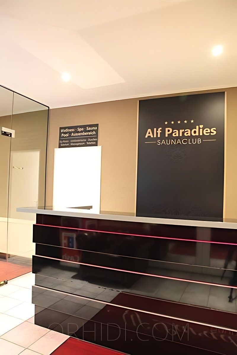 Best Sex parties Models Are Waiting for You - place ALF PARADISE