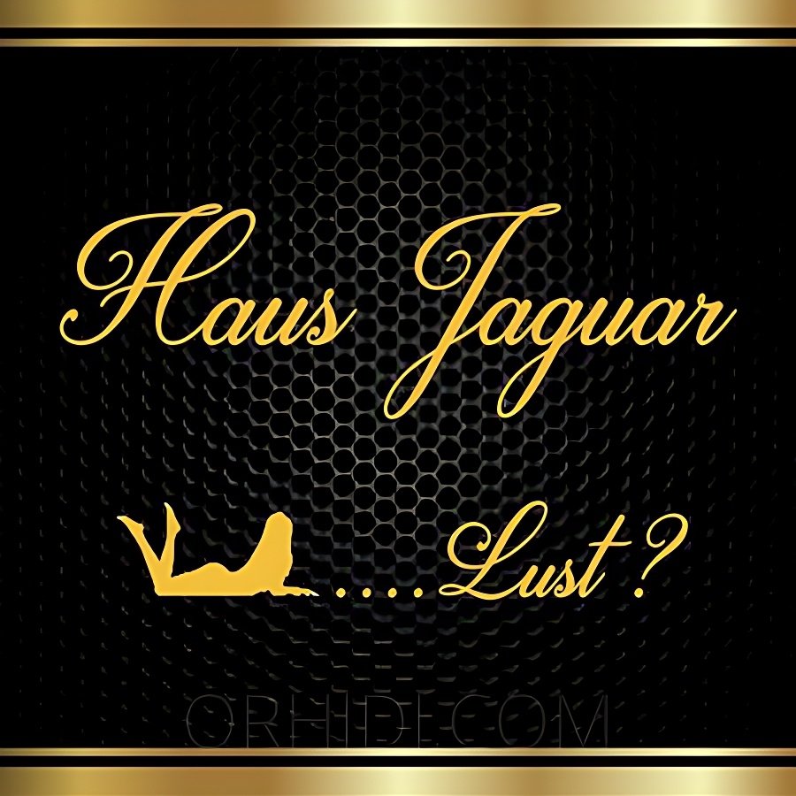 Treffen Sie Amazing Haus Jaguar: Top Eskorte Frau - model preview photo 0 