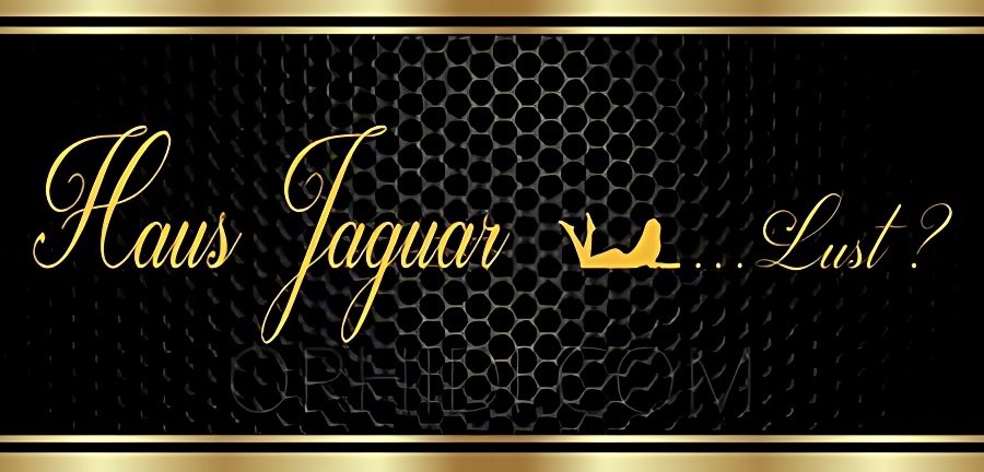 Treffen Sie Amazing Haus Jaguar: Top Eskorte Frau - profile photo 1