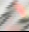 TS Eva Evans ?? - hidden photo 9
