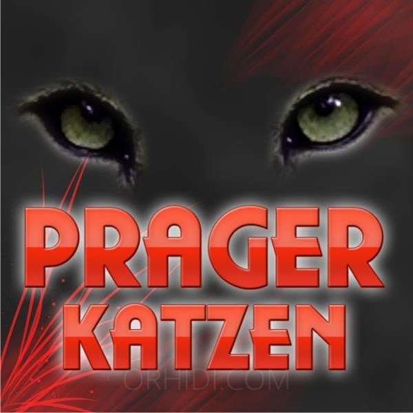 Best PRAGER KATZEN in Langenfeld - place photo 2