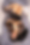 Remy bei den Rote Rosen ? - hidden photo 3