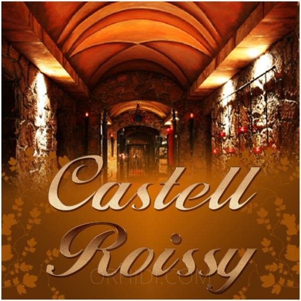 Il migliore CASTELL ROISSY - DIE NR.1 TOPADRESSE IN MÜNCHEN! a Monaco - place photo 2