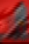 Lee ? - hidden photo 20
