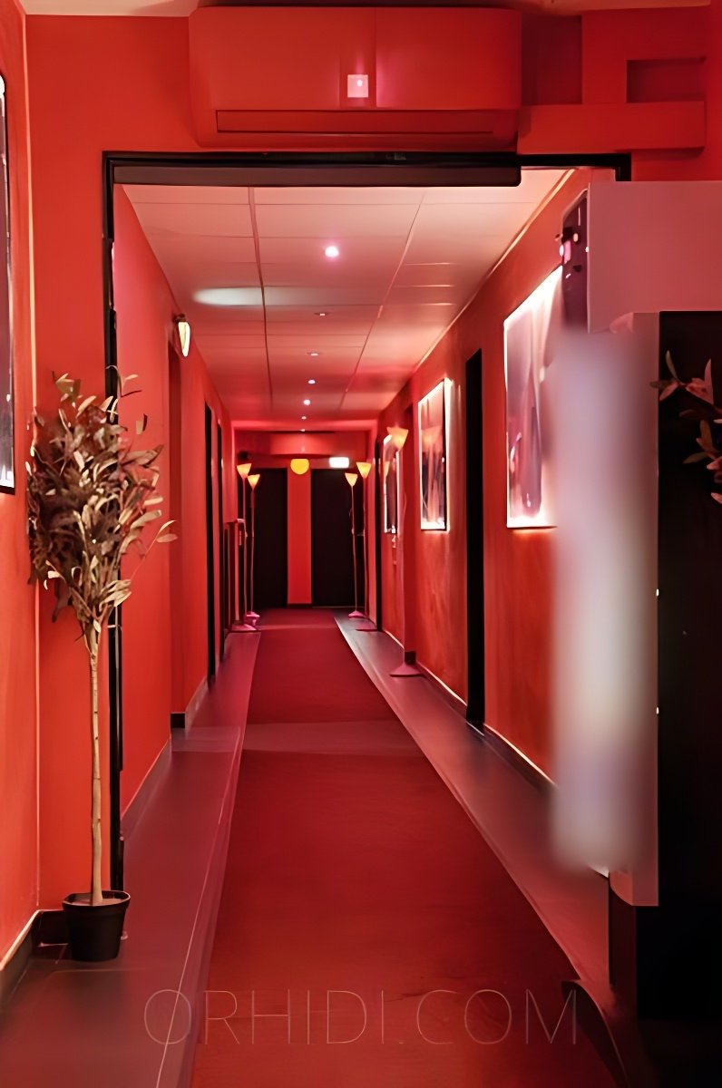 Strip Clubs in Pirmasens for You - place EROSCENTER - LAUFHAUS  REGENSBURG