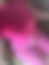Deutsche Laura Von Zart Bis Hart ? - hidden photo 4