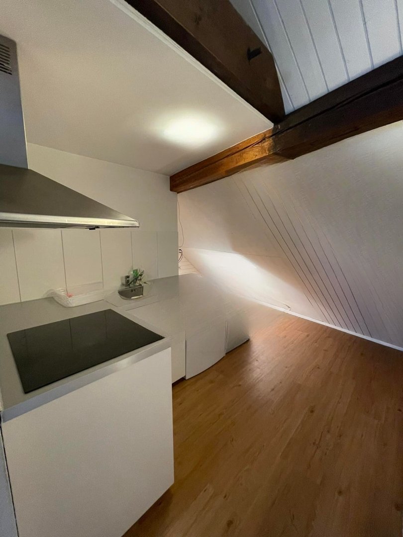Best Work Alone Lucreaza Singura Alleine Arbeiten Top Apartments Privat Diskret  in Windisch - place photo 5