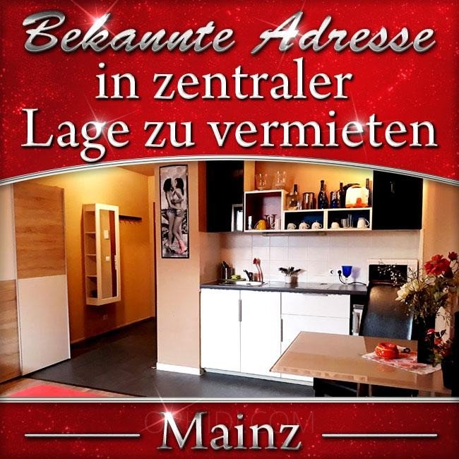 Bester Top Verdienstmöglichkeiten in bekannter Adresse! in Mainz - place photo 7