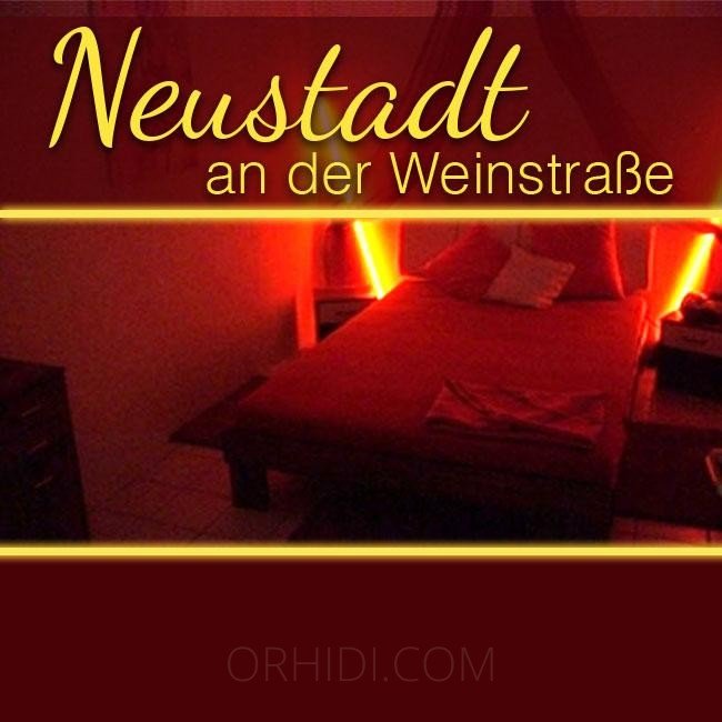 Bester Neustadt sucht Dich in Neustadt an der Weinstraße - place photo 9