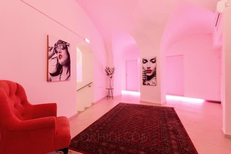 Best Flat for rent Models Are Waiting for You - place Citystudio