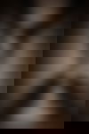 Lee ? - hidden photo 23