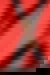 Lee ? - hidden photo 14