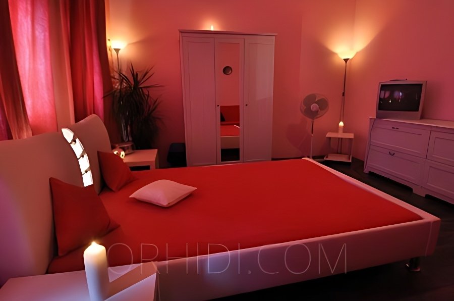 Find the Best BDSM Clubs in Basel - place Butterfly 47