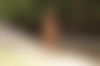 Bianca ? - hidden photo 8