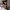Meet Amazing KRISTINA BEI TANTRA DELUXE: Top Escort Girl - hidden photo 0
