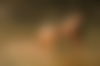 Bianca ? - hidden photo 4