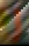 Lara De*p Th**at GANZ NEU ? - hidden photo 4