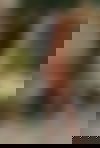 Lara De*p Th**at GANZ NEU ? - hidden photo 3