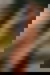 Lara De*p Th**at GANZ NEU ? - hidden photo 16